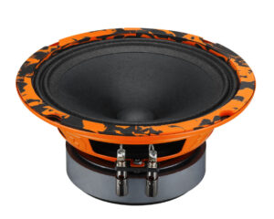 DL Audio Gryphon PRO 165