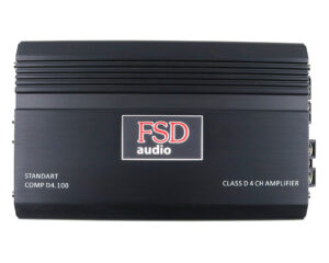 FSD audio