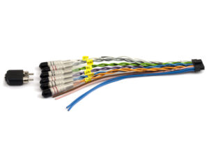 Audison ACP 6 - 6 RCA for Prima